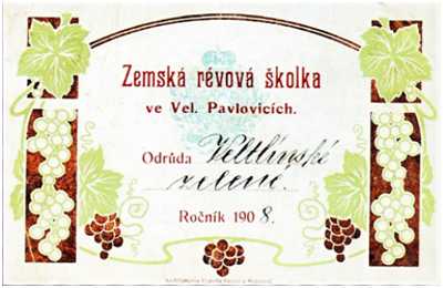 Etiketa