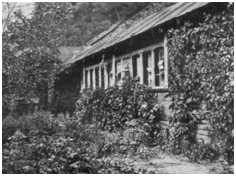 Včelín