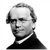 J.G.Mendel