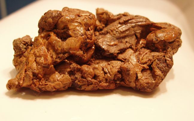 Propolis